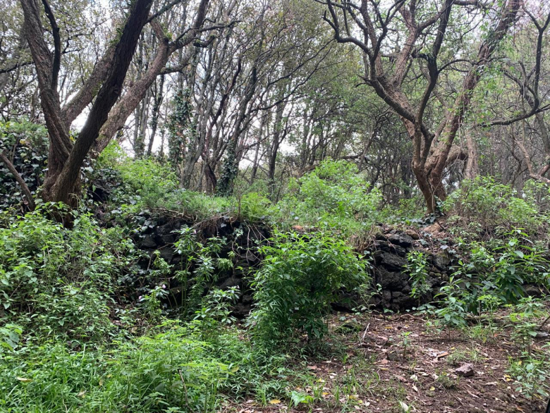 terreno en venta en tlalpuente