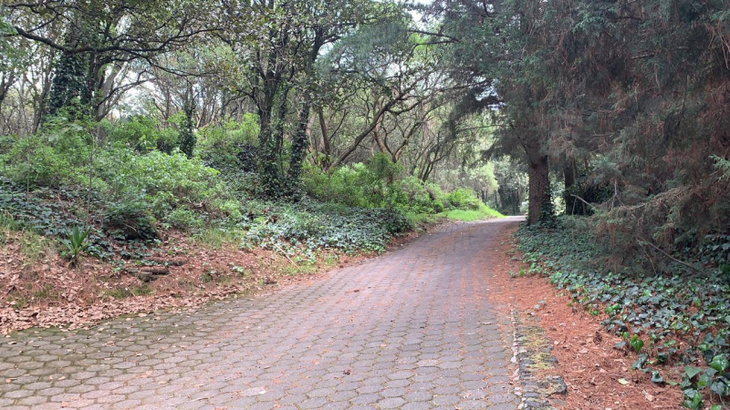 terreno en venta en tlalpuente