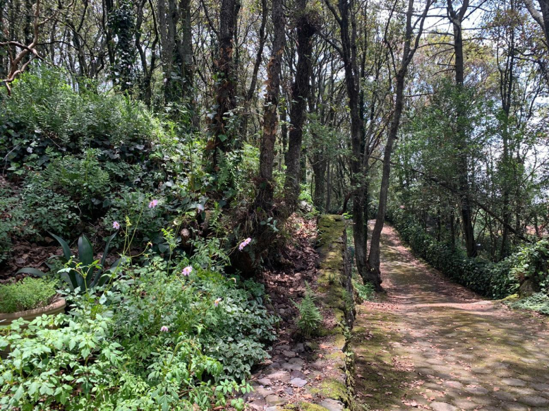 terreno en venta en tlalpuente