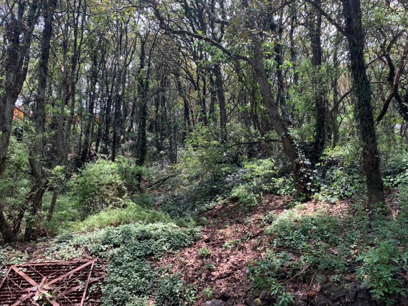 terreno en venta en tlalpuente