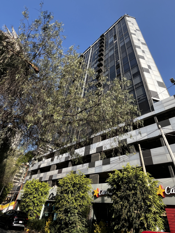 oficina en renta en polanco v seccion