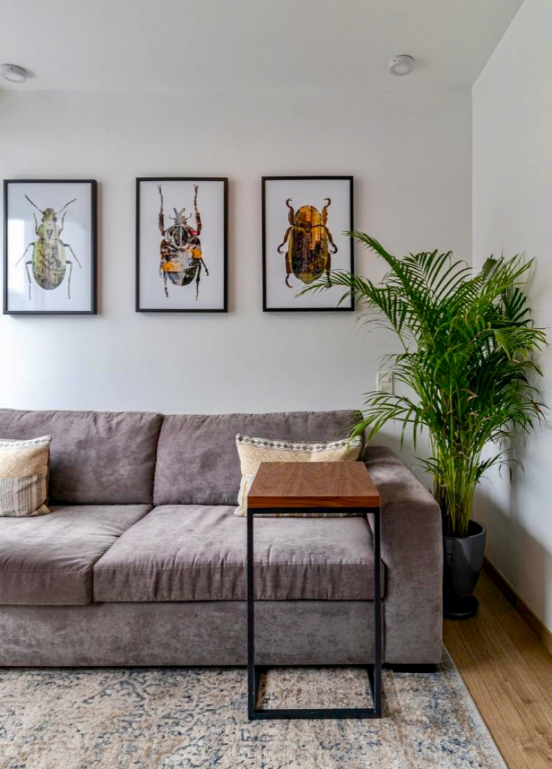 departamento venta lomas de memetla