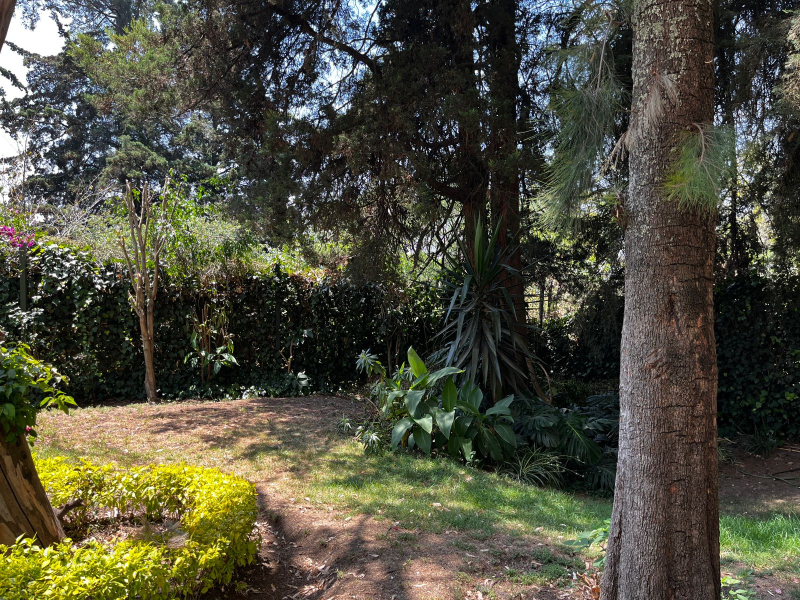 departamento en renta en bosques de la herradura