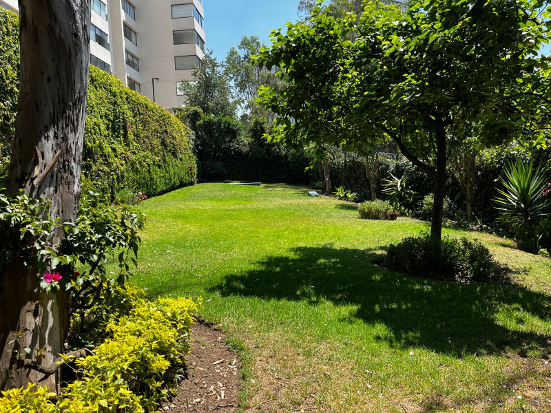 departamento en renta en bosques de la herradura