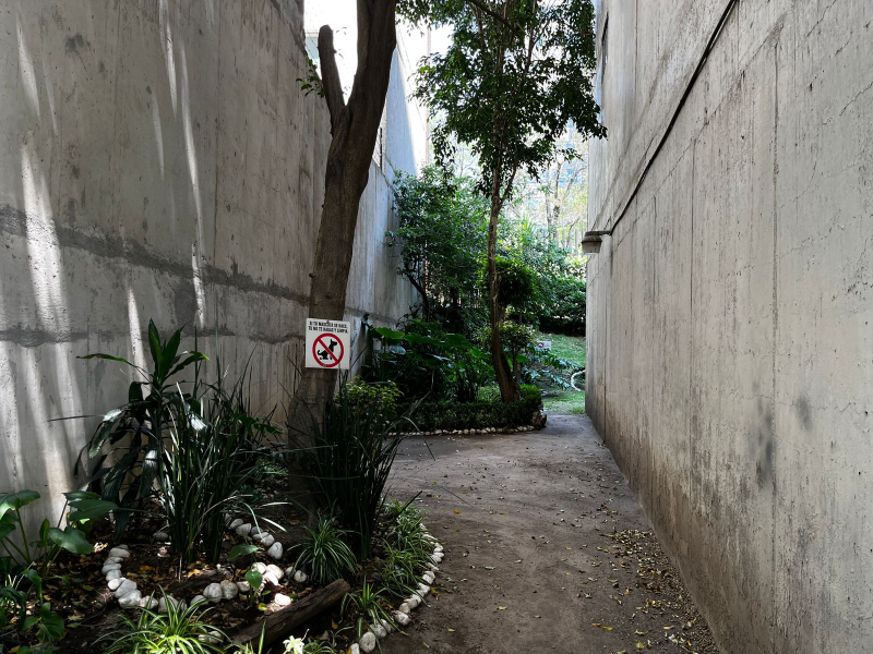 departamento en renta en bosques de la herradura