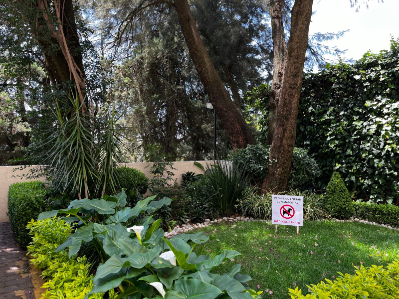 departamento en renta en bosques de la herradura