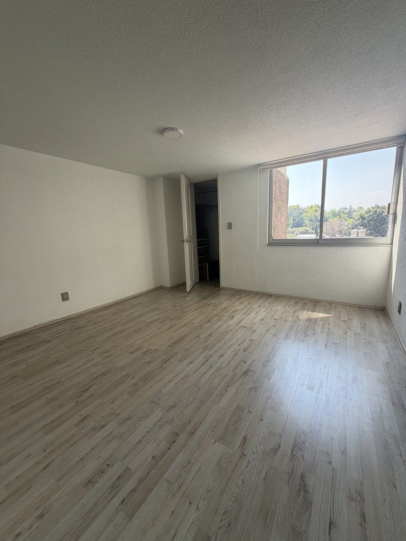 departamento en renta en colonia del valle