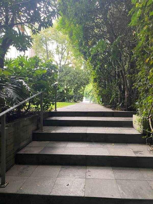 departamento en renta en lomas de chapultepec