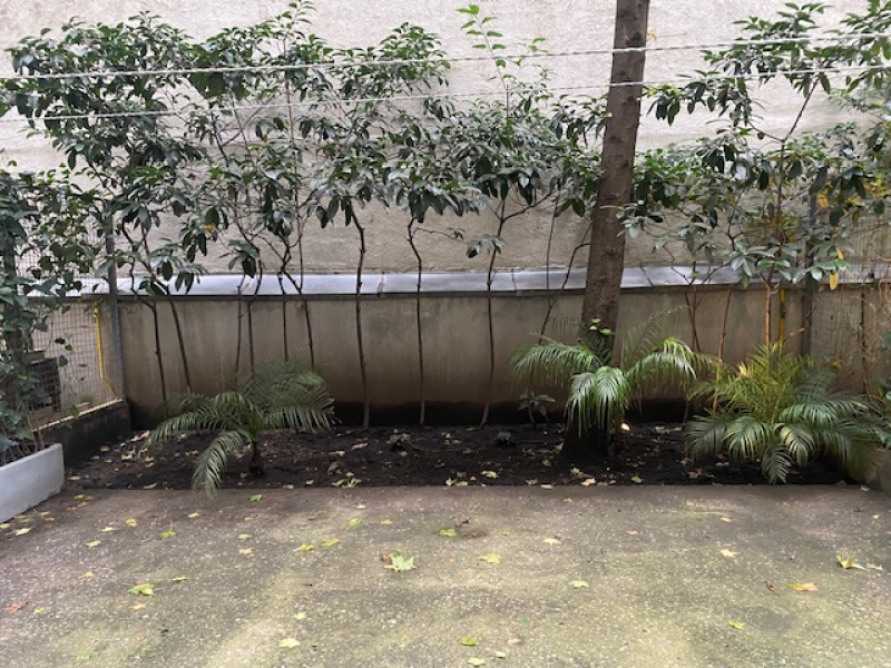 departamento en renta en lomas de chapultepec