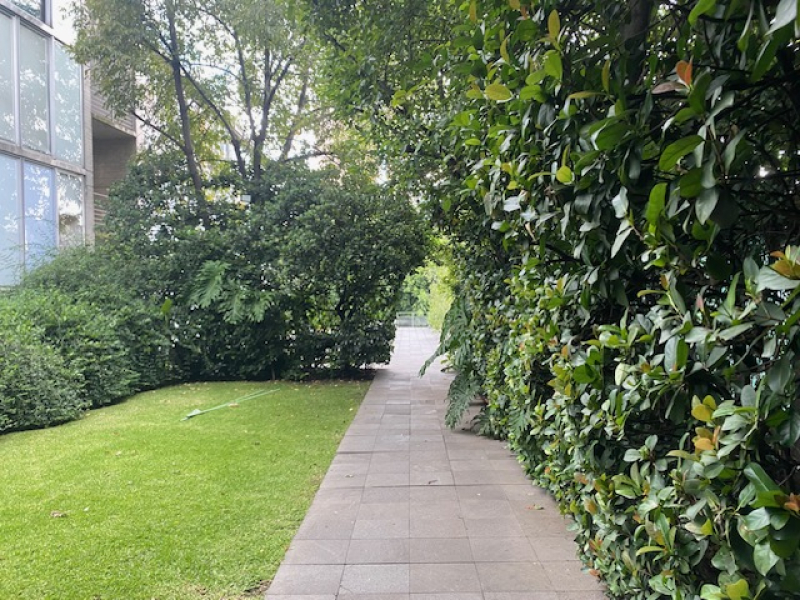 departamento en renta en lomas de chapultepec