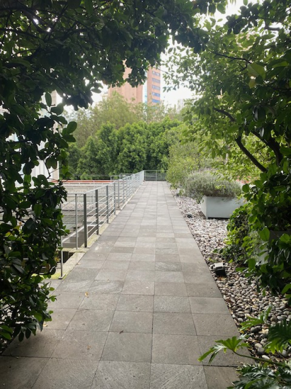 departamento en renta en lomas de chapultepec