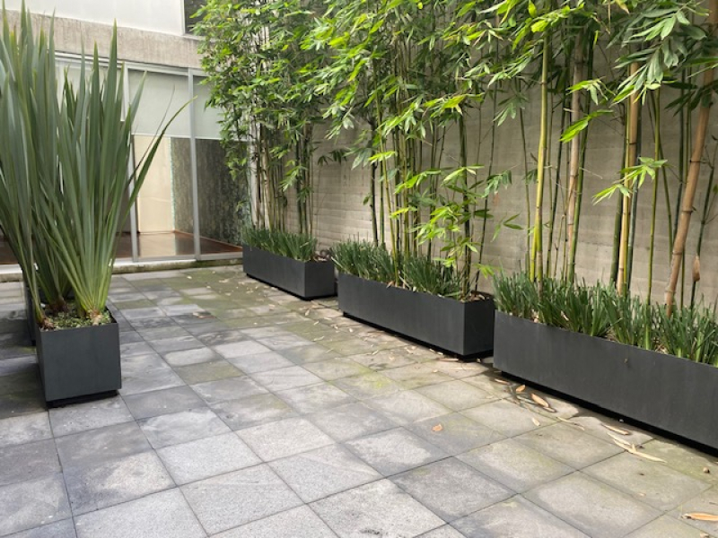 departamento en renta en lomas de chapultepec