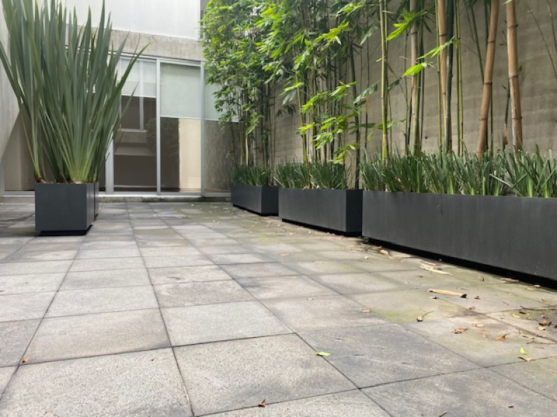 departamento en renta en lomas de chapultepec