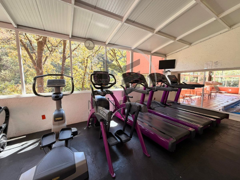 departamento en renta en hacienda el ciervo, interlomas: