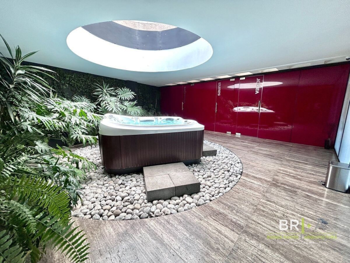 renta departamento  amueblado ph en polanco