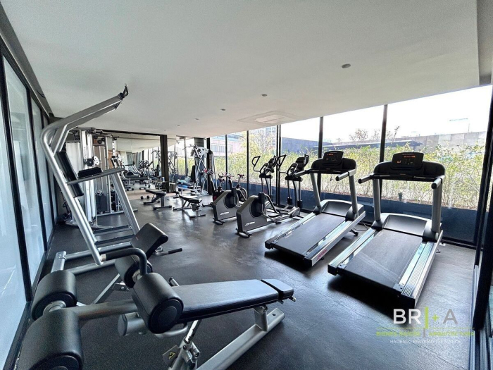 renta departamento  amueblado ph en polanco