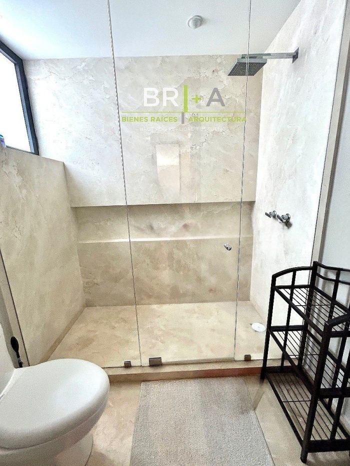 departamento con terraza en renta en polanco