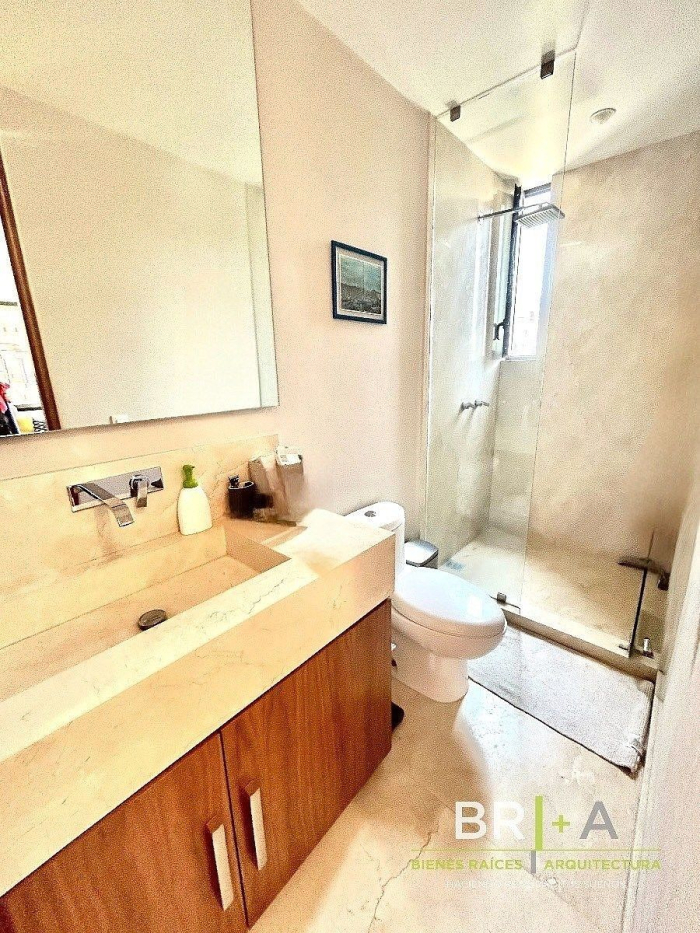 departamento con terraza en renta en polanco