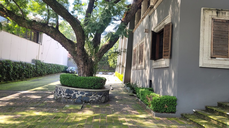 local comercial en renta en san ángel