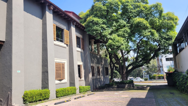 local comercial en renta en san ángel