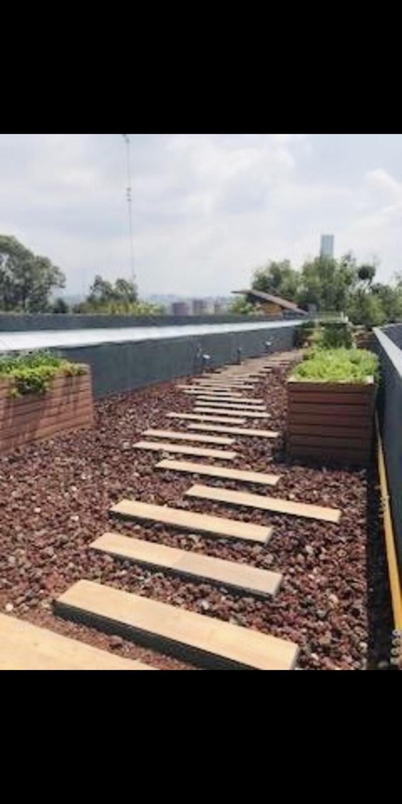 Departamento En Renta En Granjas Palo Alto