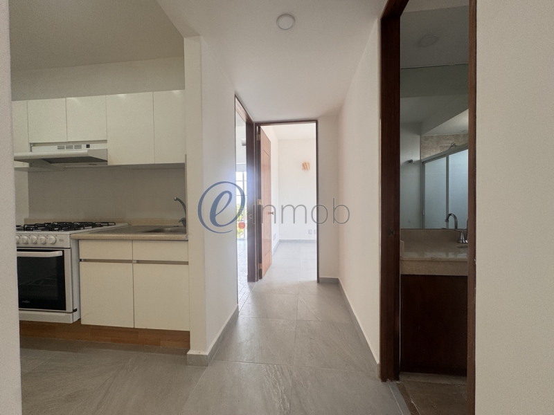 Renta Departamento Bosques De Las Lomas, Ahuehuetes