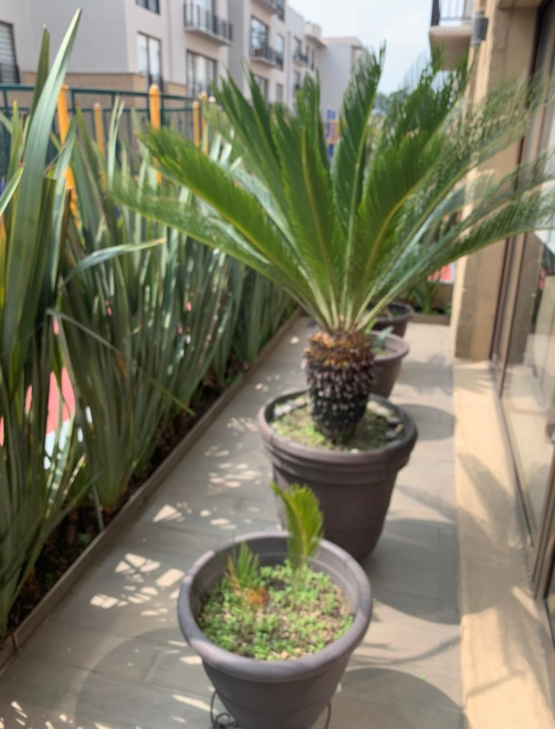 DEPARTAMENTO EN VENTA EQUUS OLIVAR DE LOS PADRES