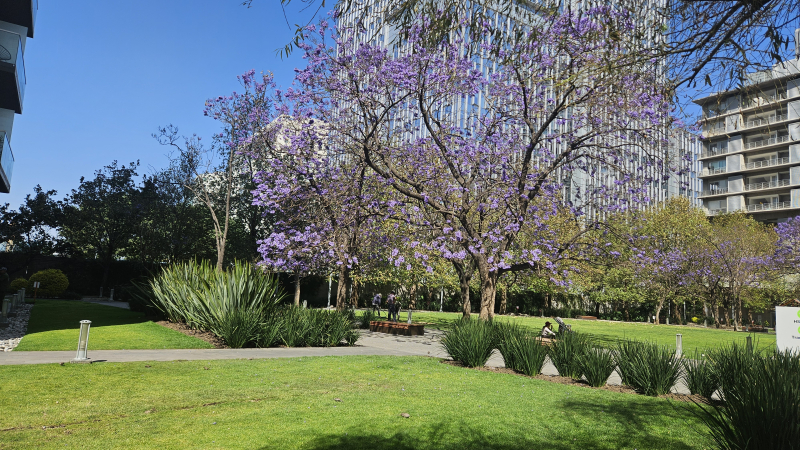 Departamento En Venta En Granada