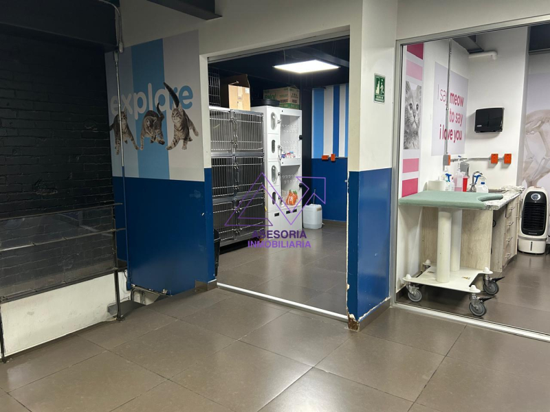 local comercial en renta en lomas de chapultepec