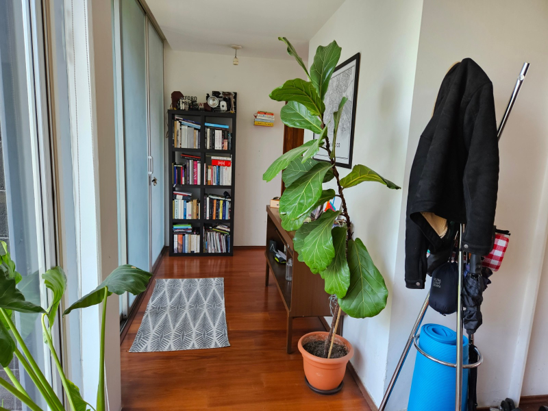 Departamento En Renta En Hipódromo Condesa