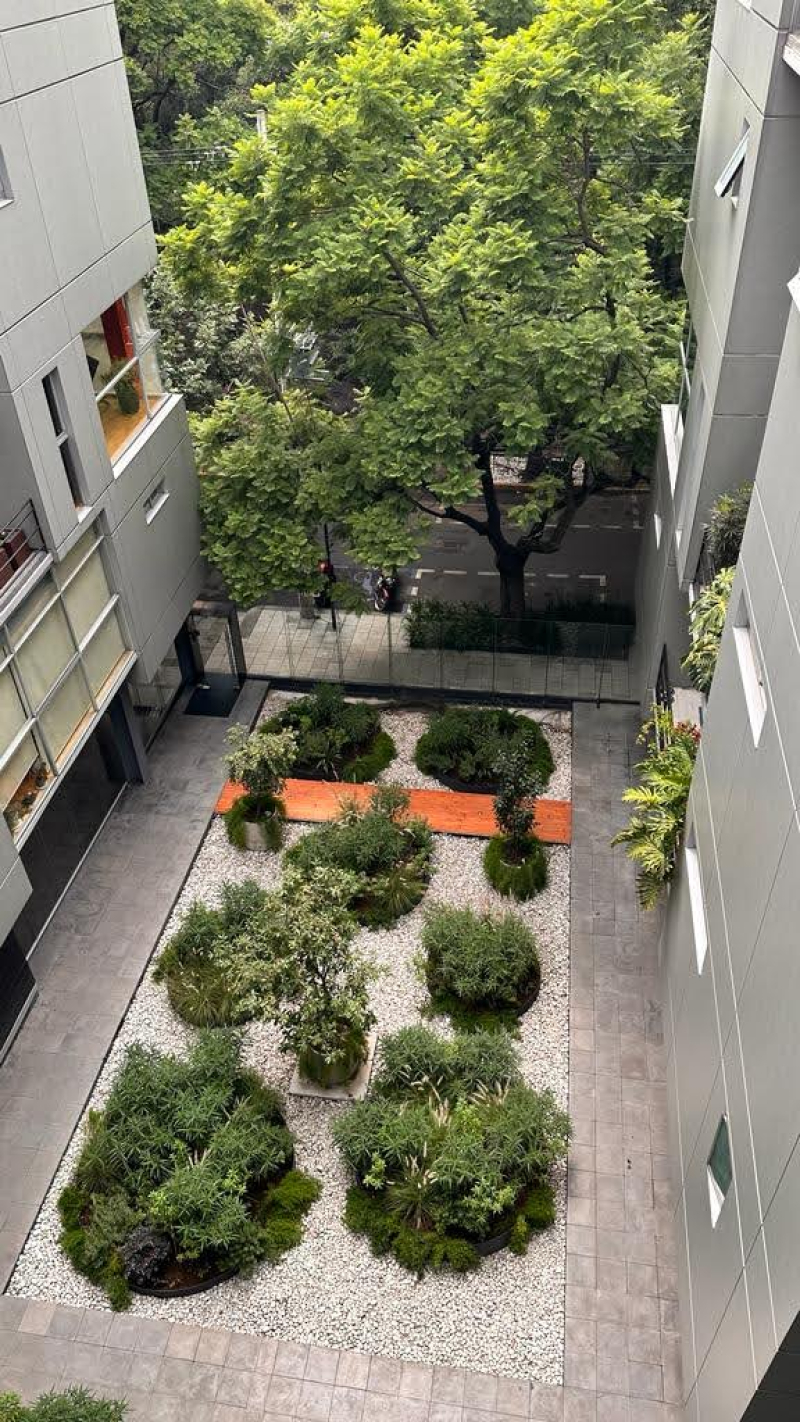 Departamento En Renta En Hipódromo Condesa