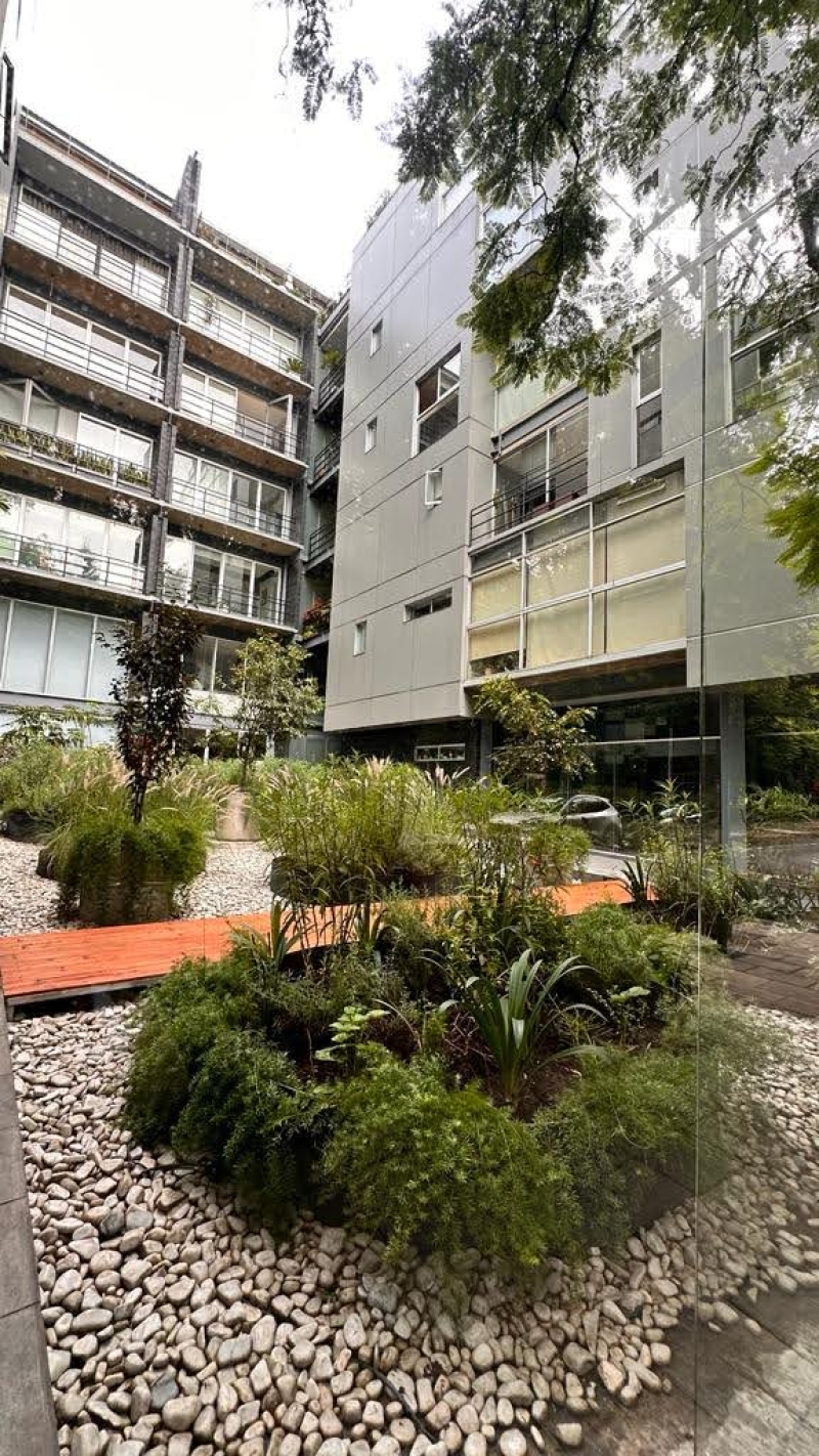 Departamento En Renta En Hipódromo Condesa