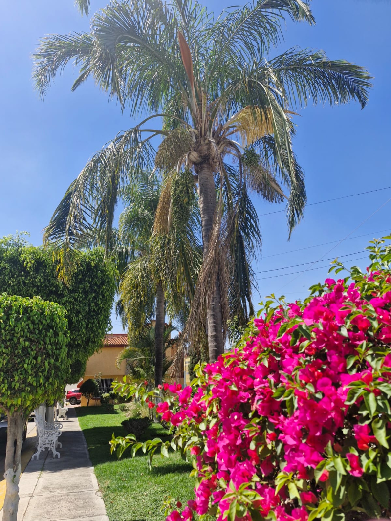 casa en condominio en venta en guadalupe sur