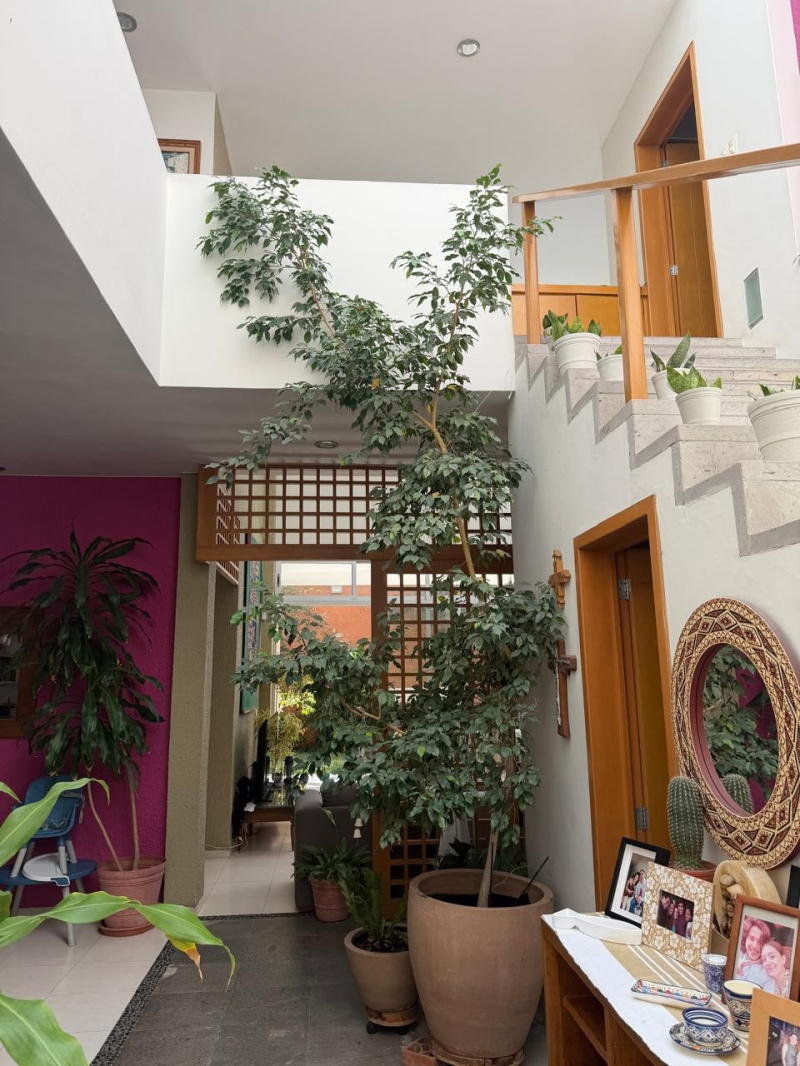 Casa En Renta En Jardines Universidad