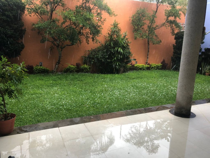 Casa En Renta En Jardines Universidad