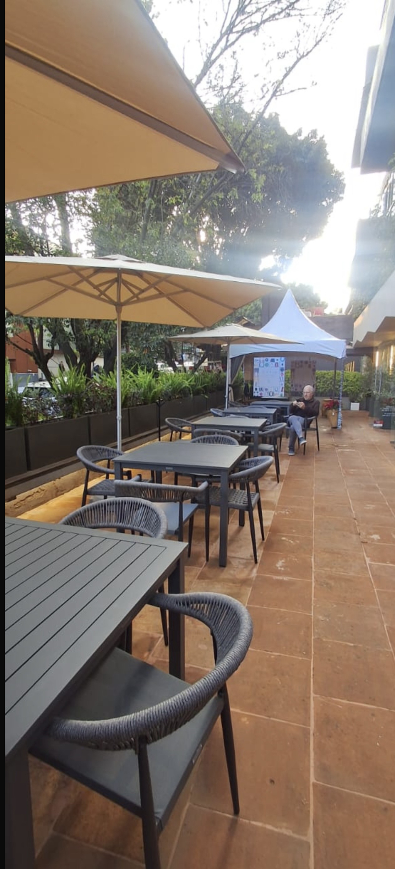 Locales Comerciales En Renta En Lomas De Chapultepec 