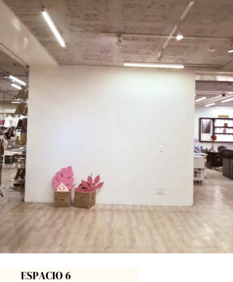 Locales Comerciales En Renta En Lomas De Chapultepec 