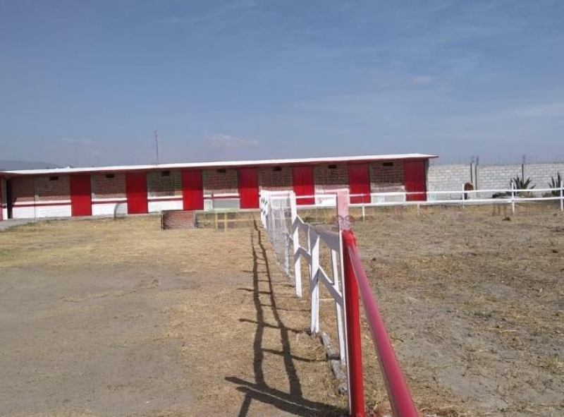 Terreno En Renta En Tizayuca Hidalgo