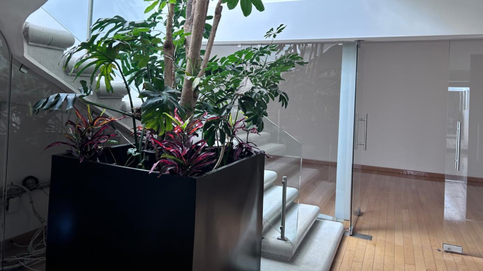 casa en renta en polanco