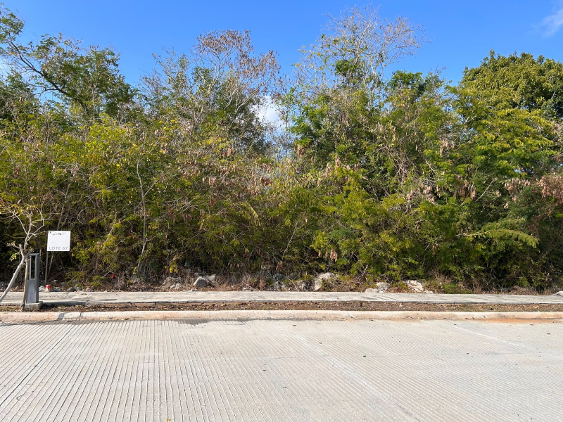 Venta Terreno En Residencial Aranza