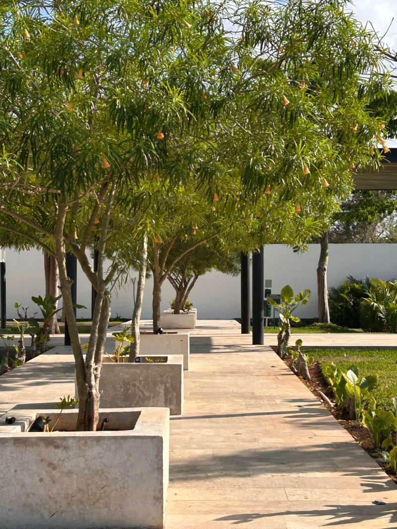 Venta Terreno En Residencial Aranza