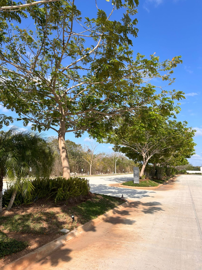 Venta Terreno En Residencial Aranza