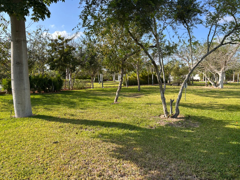 Venta Terreno En Residencial Aranza