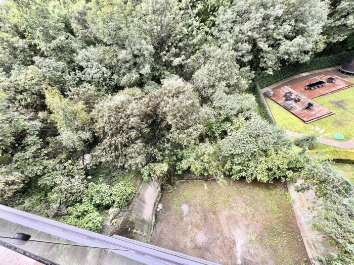 Departamentos en Venta en Paseo de la Reforma