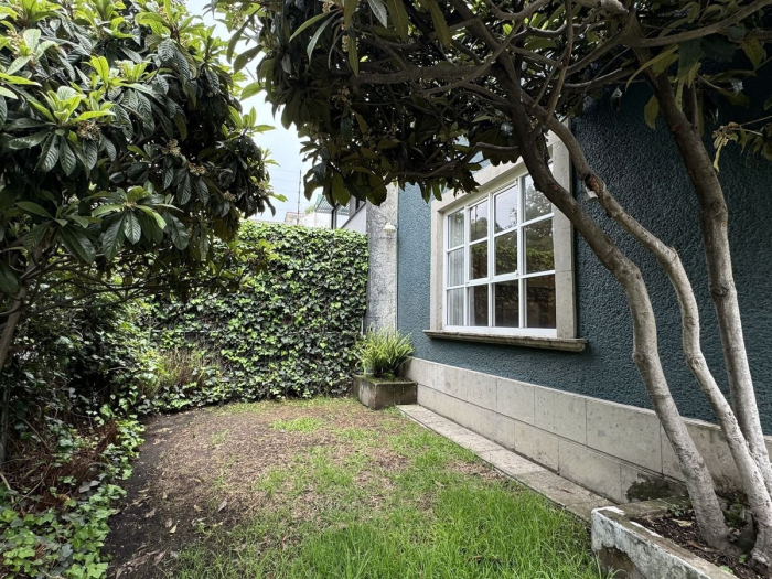 oportunidad linda casa para remodelar con jardín en las lomas de chapultepec