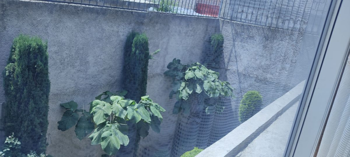 Casa en Venta en Ixtapaluca