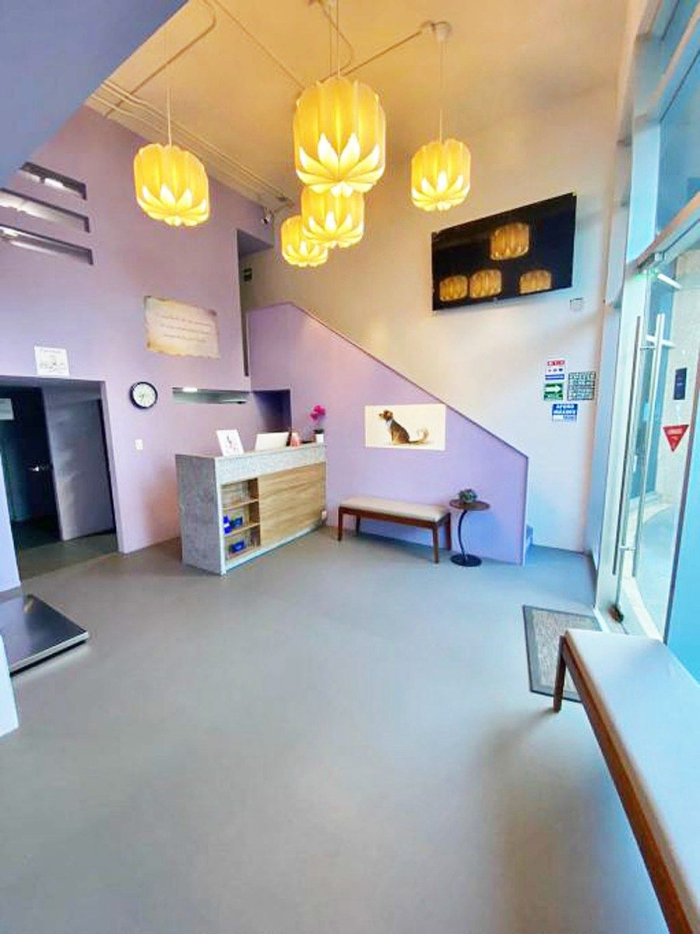 local comercial en renta, interlomas