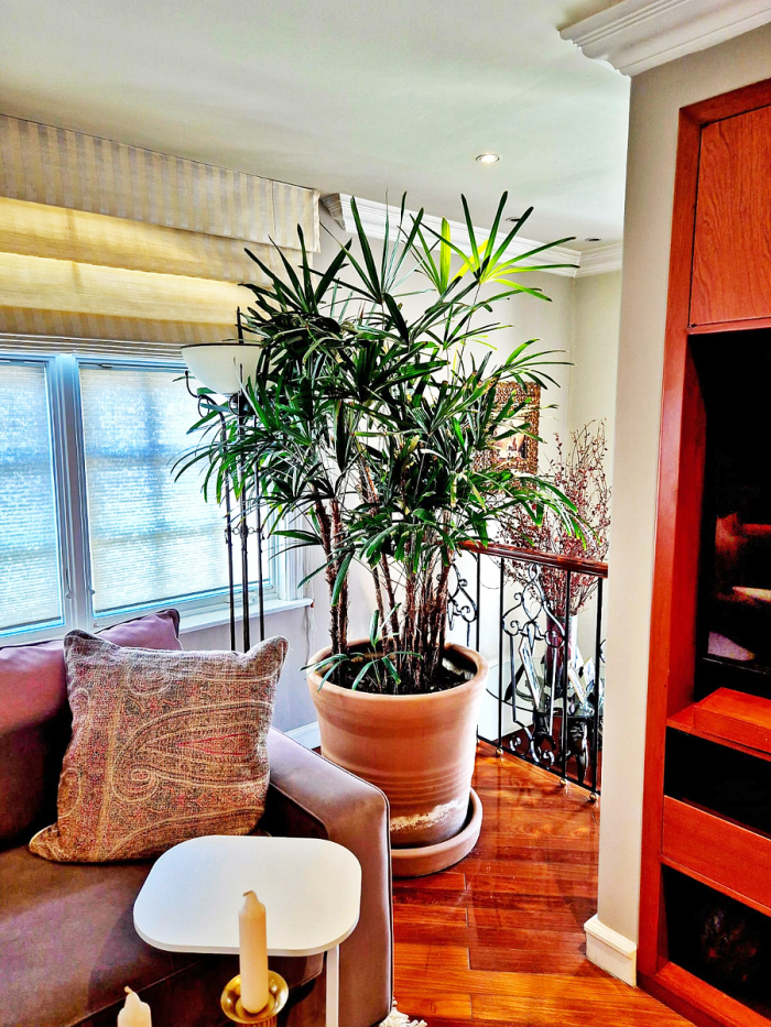 venta casa en lomas de chapultepec triangulo dorado precio en dlls