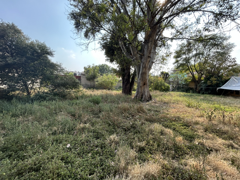 Terreno En Venta En San Simón Ticumac