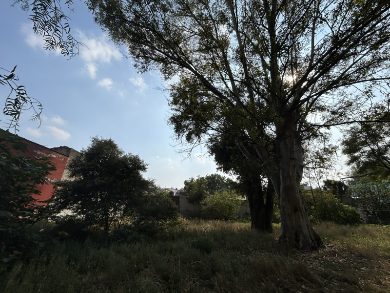 Terreno En Venta En San Simón Ticumac